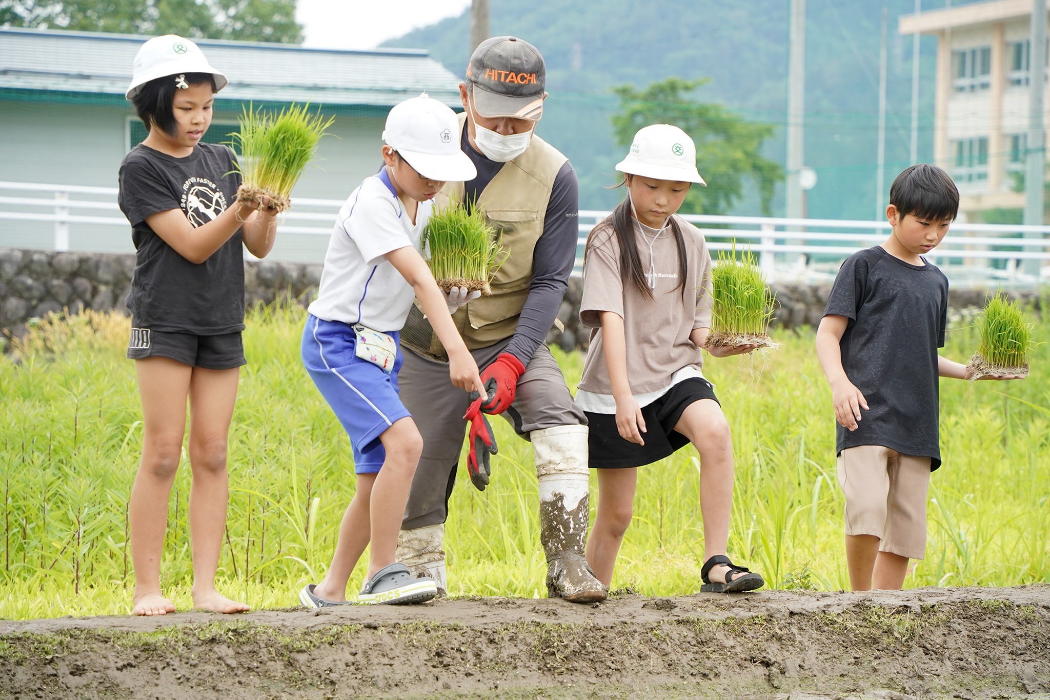  古川西小学校で5年生が田植え体験