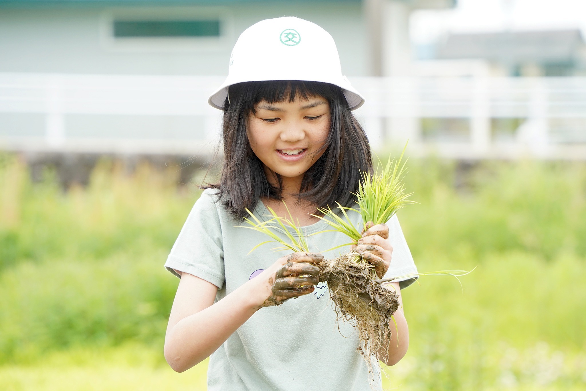  古川西小学校で5年生が田植え体験
