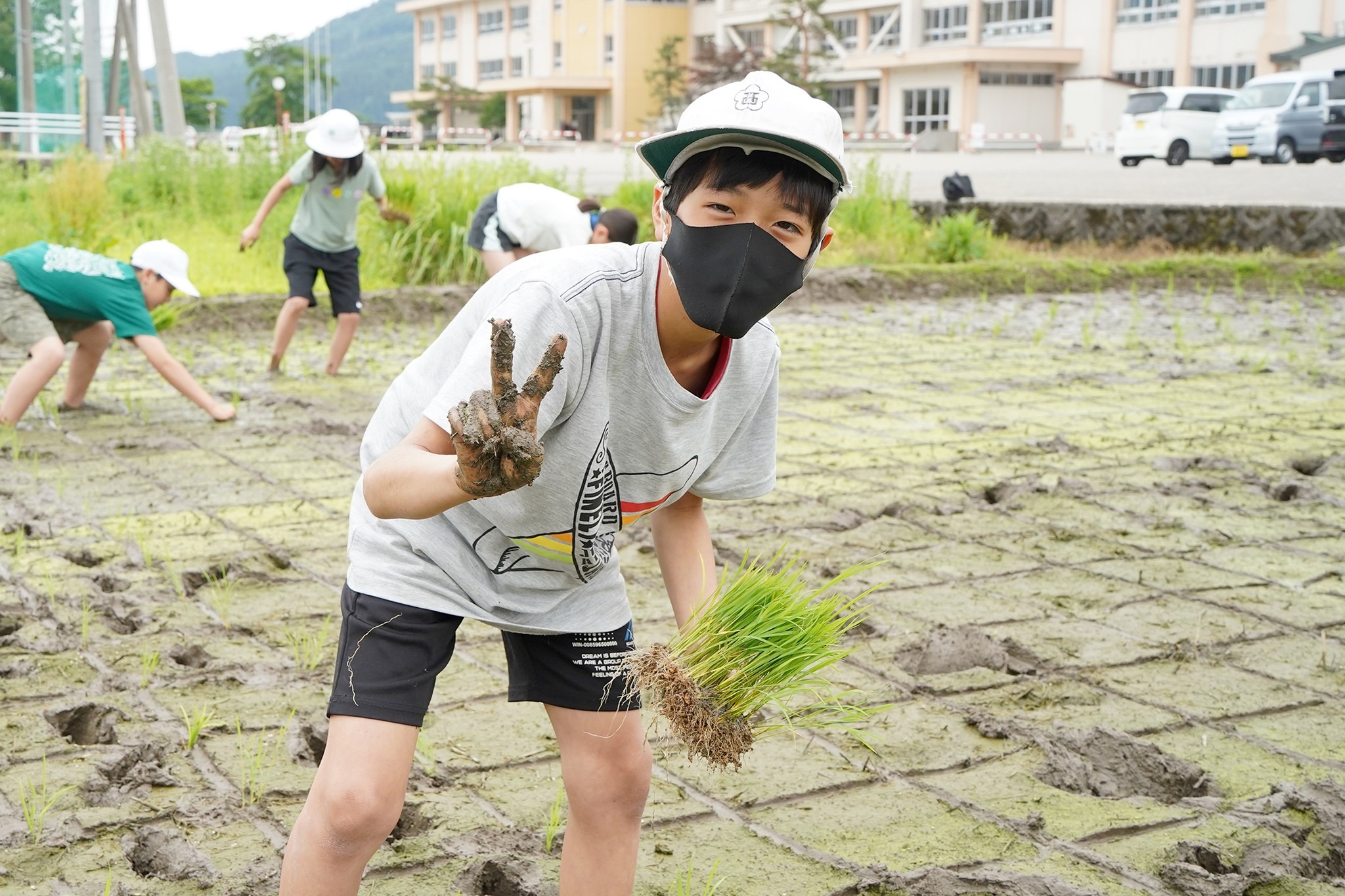  古川西小学校で5年生が田植え体験