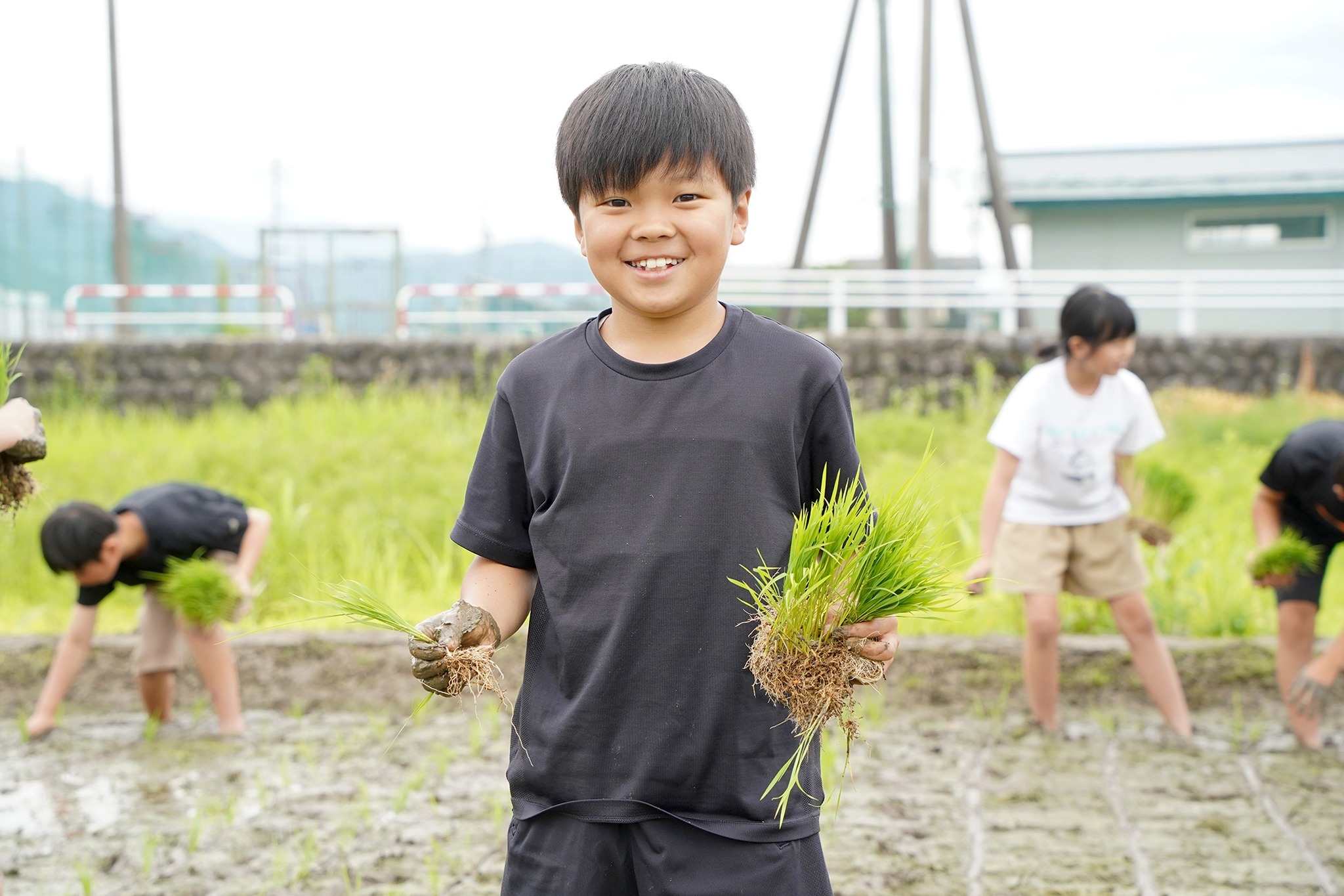  古川西小学校で5年生が田植え体験