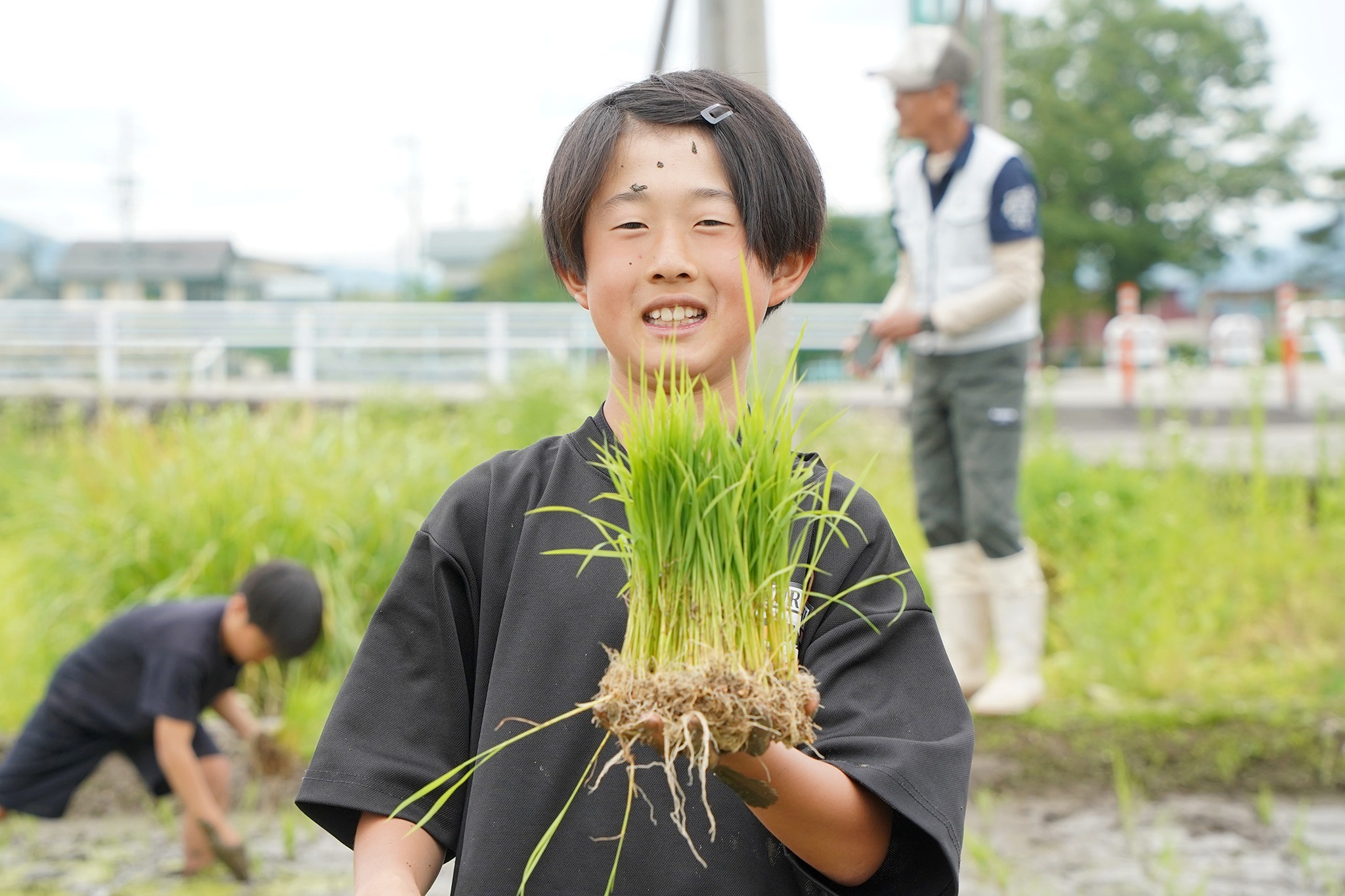  古川西小学校で5年生が田植え体験