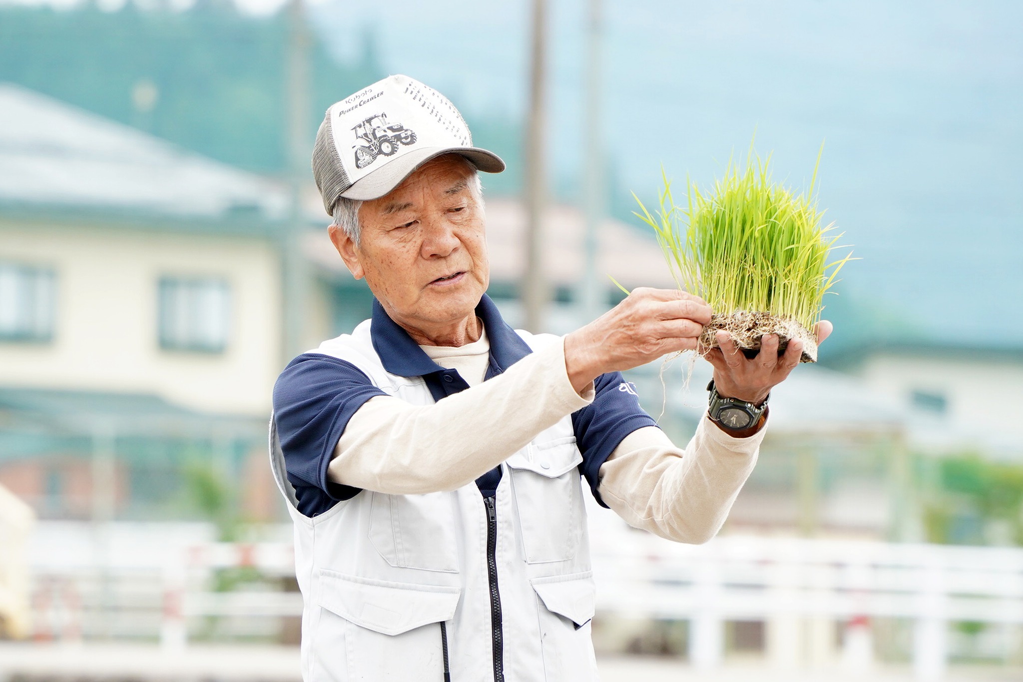  古川西小学校で5年生が田植え体験