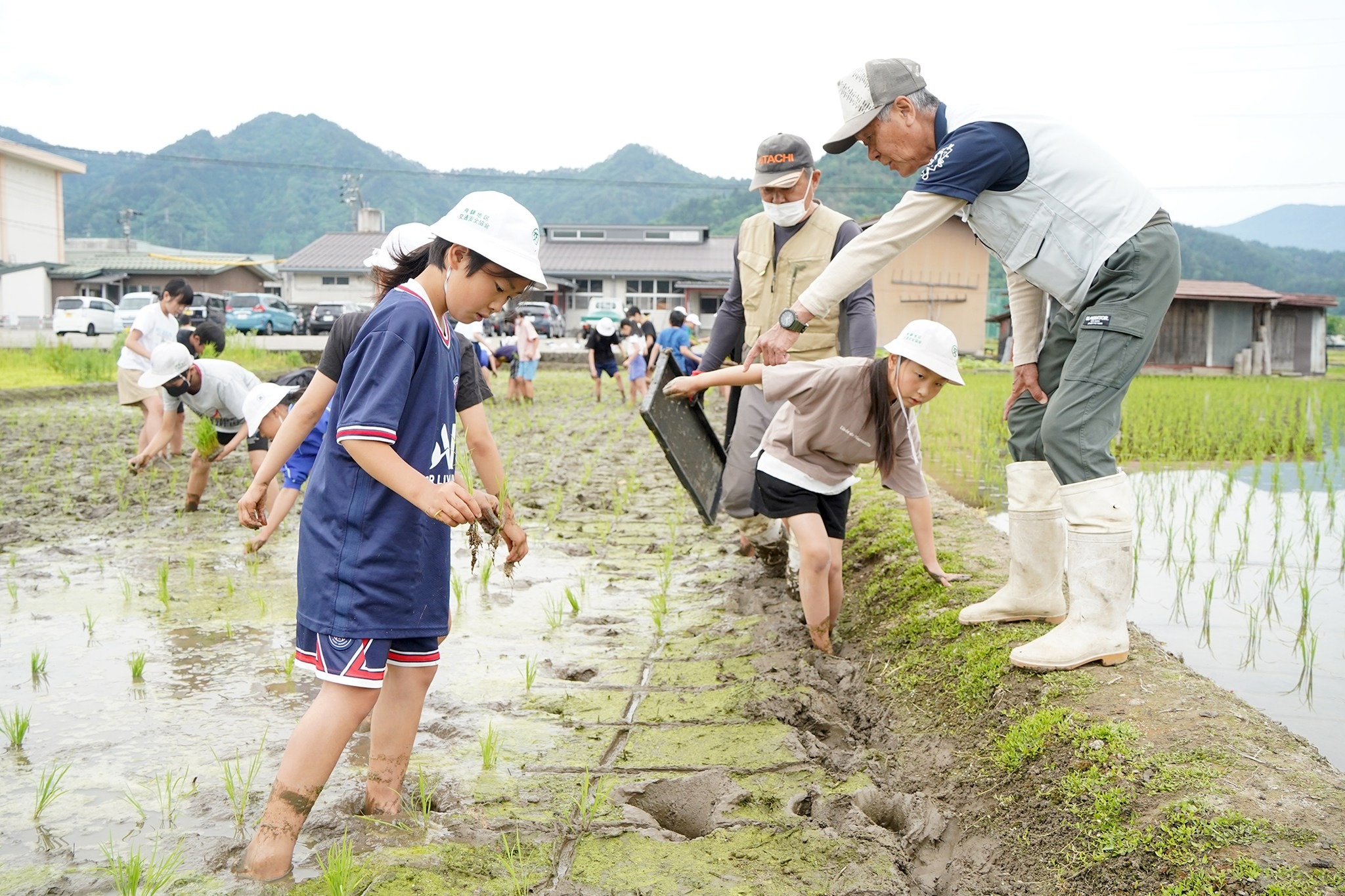  古川西小学校で5年生が田植え体験