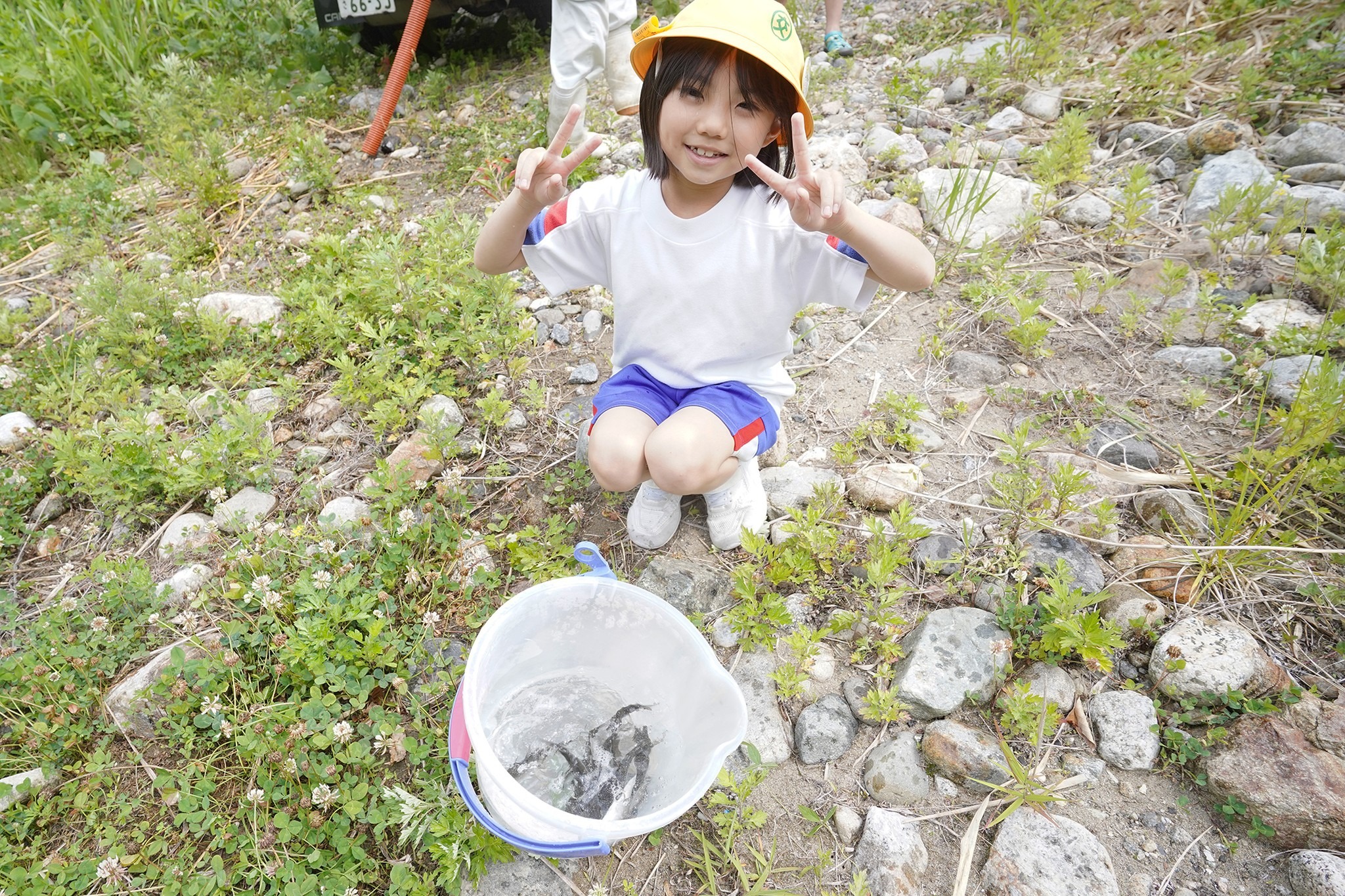 宮川小学校の児童が稚アユの放流を体験