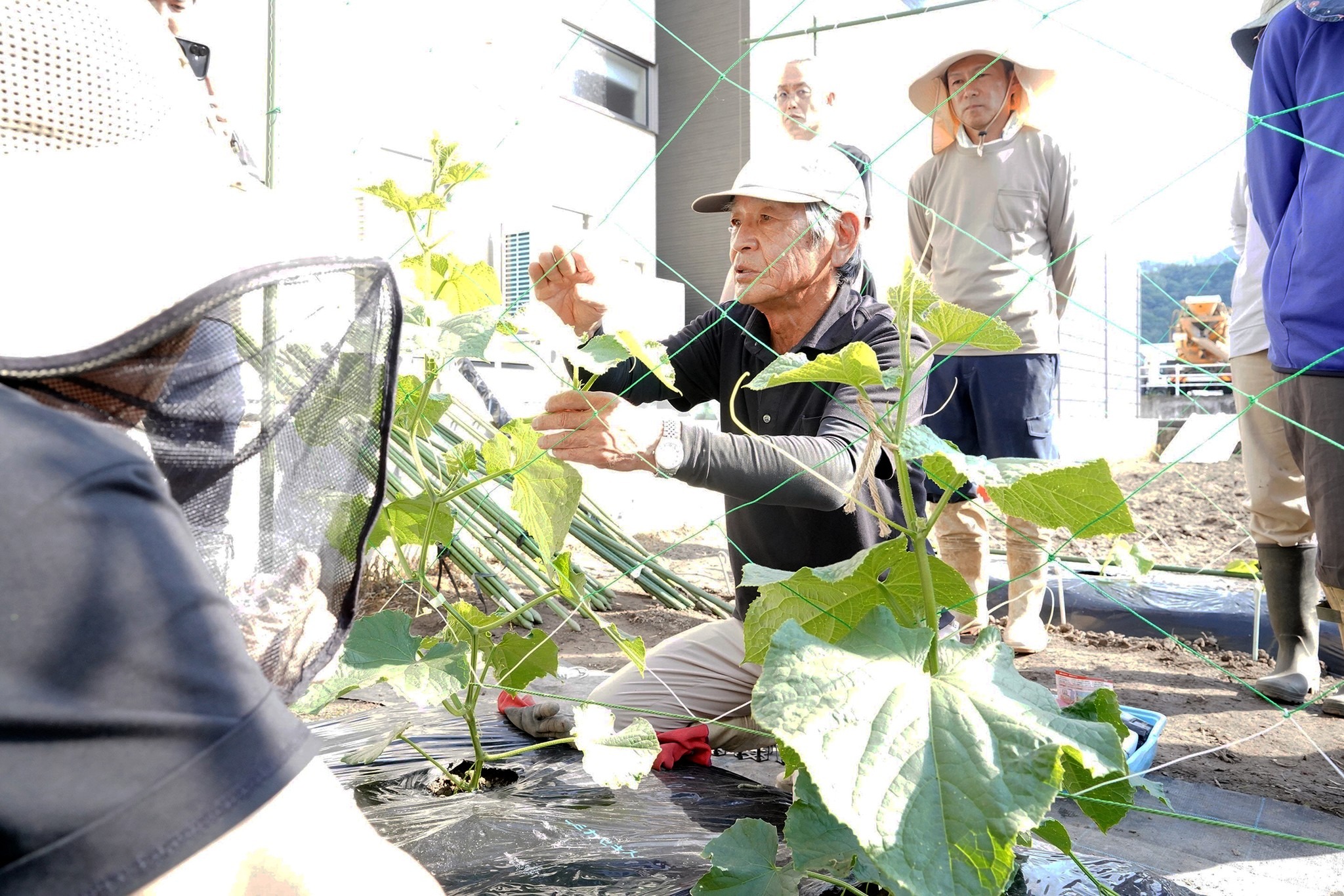 初心者向け農業講習会が始まりました