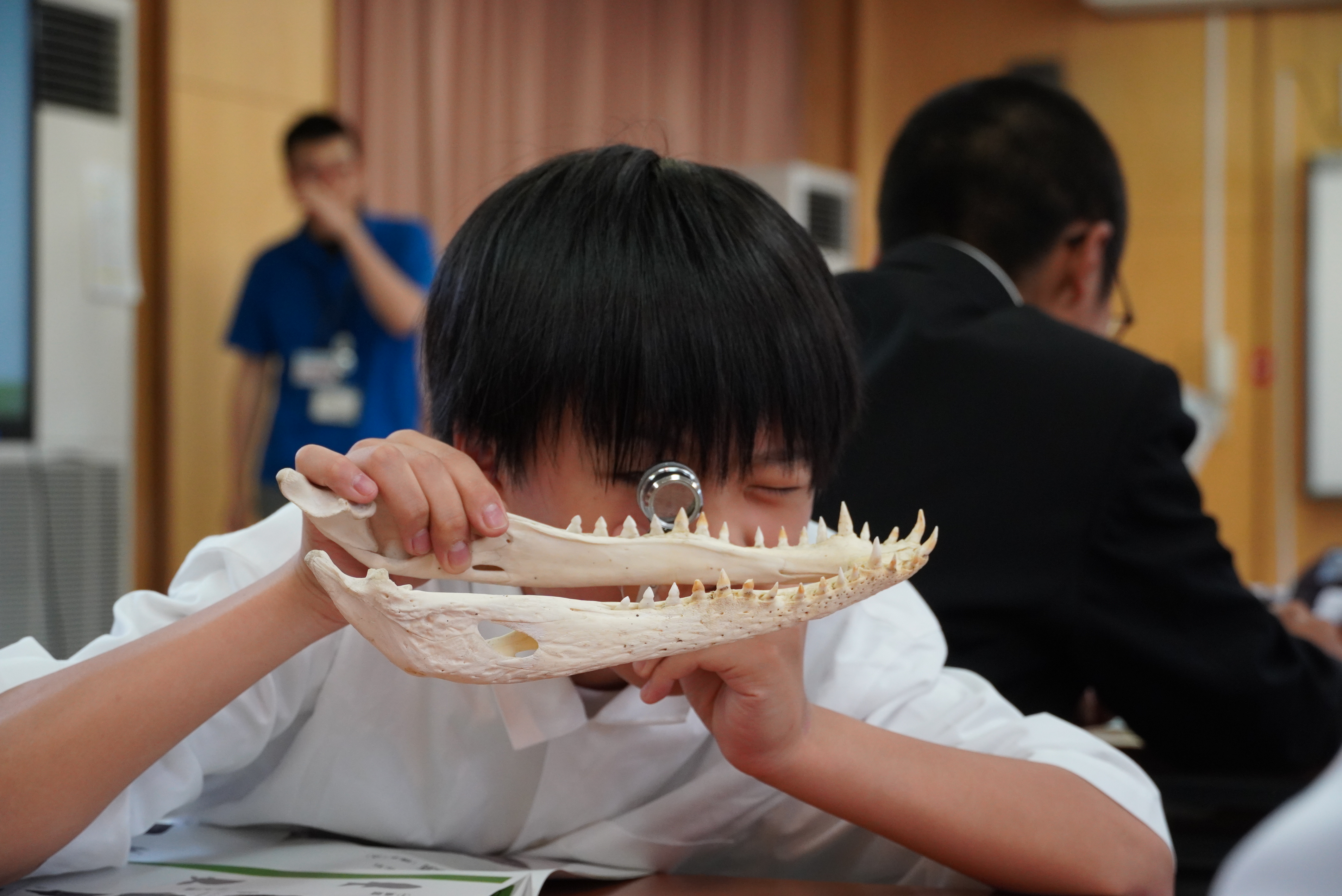 神岡中学校1年生が岐阜県博物館学芸員から特別に化石についての話を聴かせてもらいました