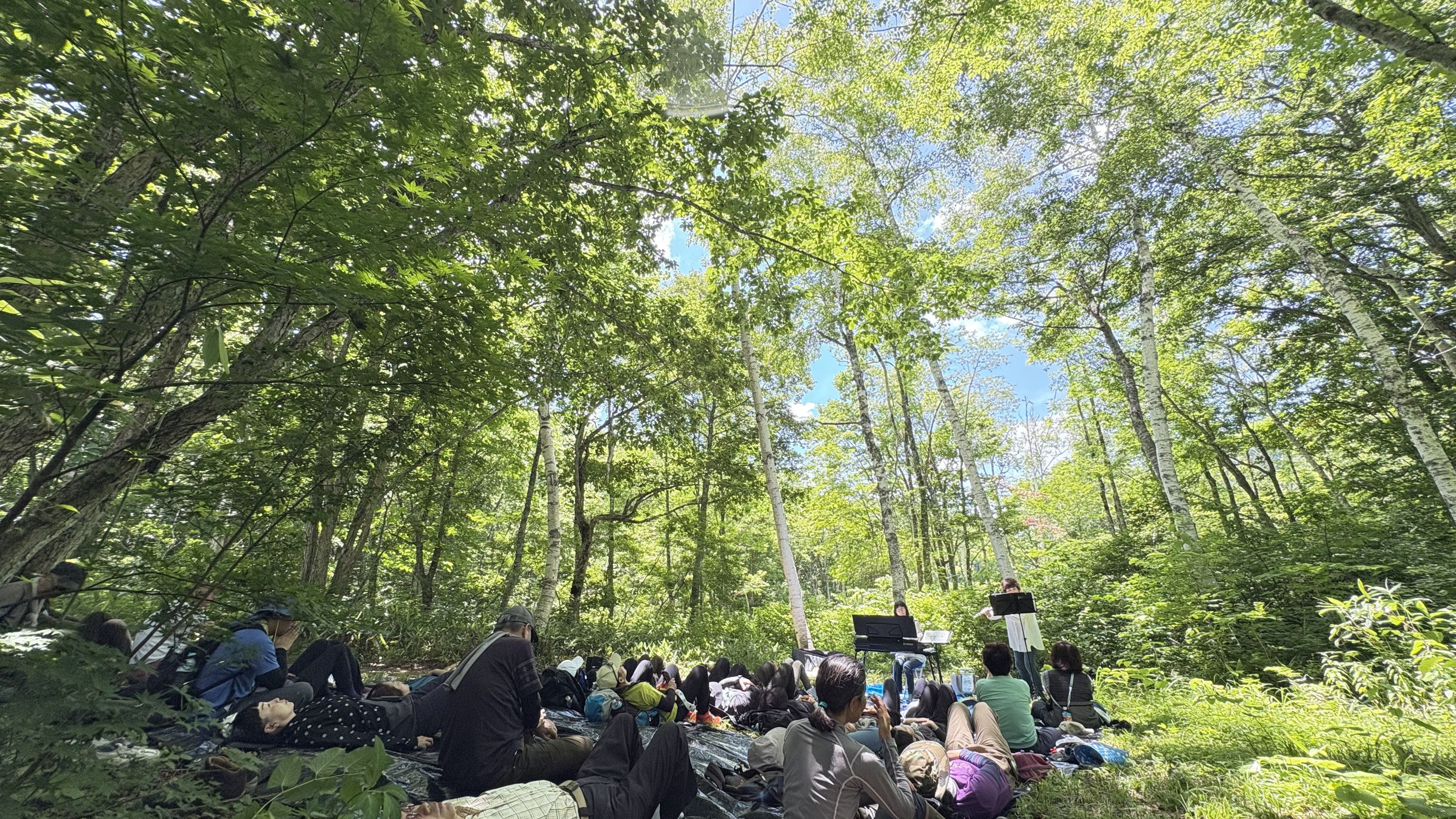 森のコンサート