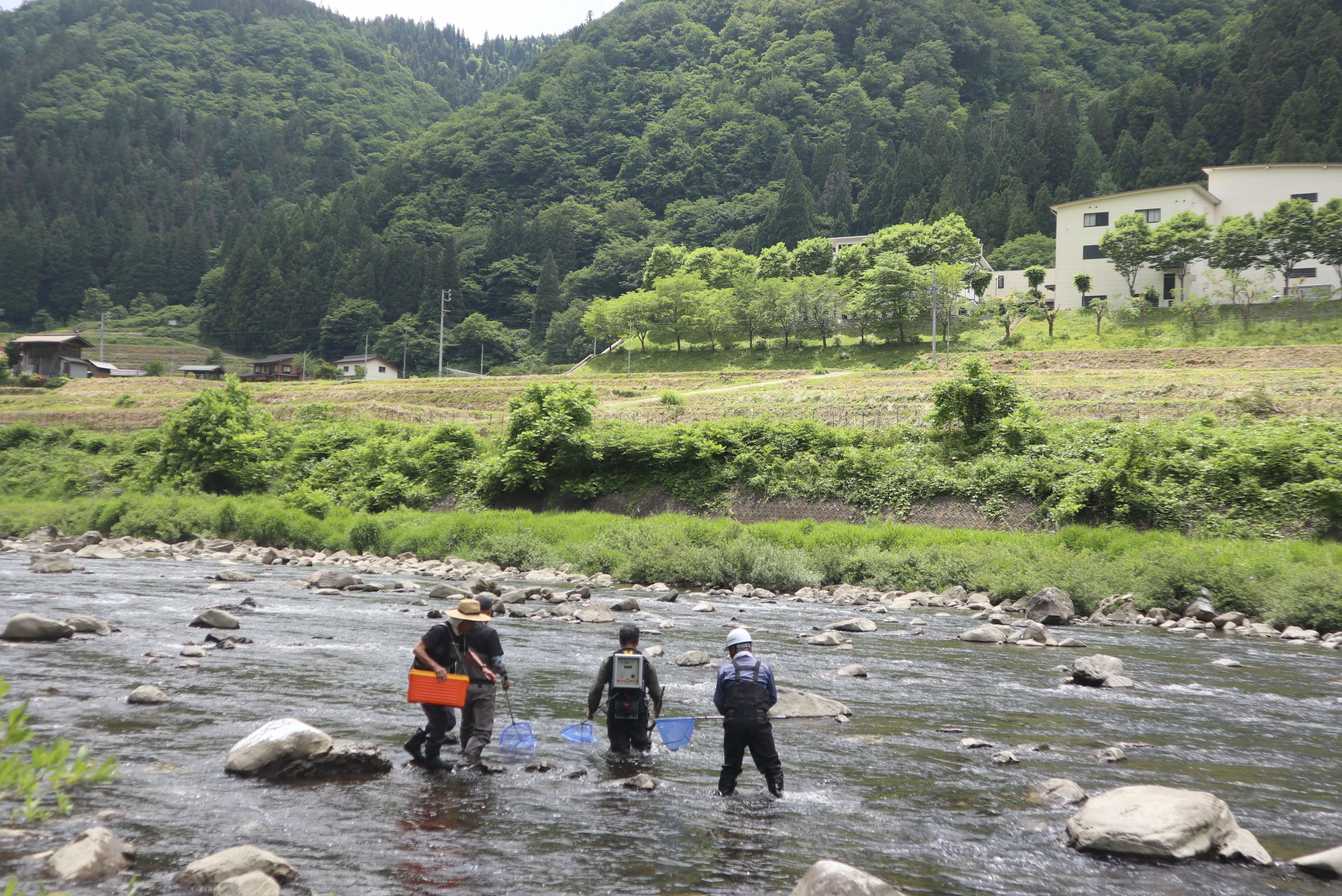 宮川下流漁協が「河川環境調査」を実施しました
