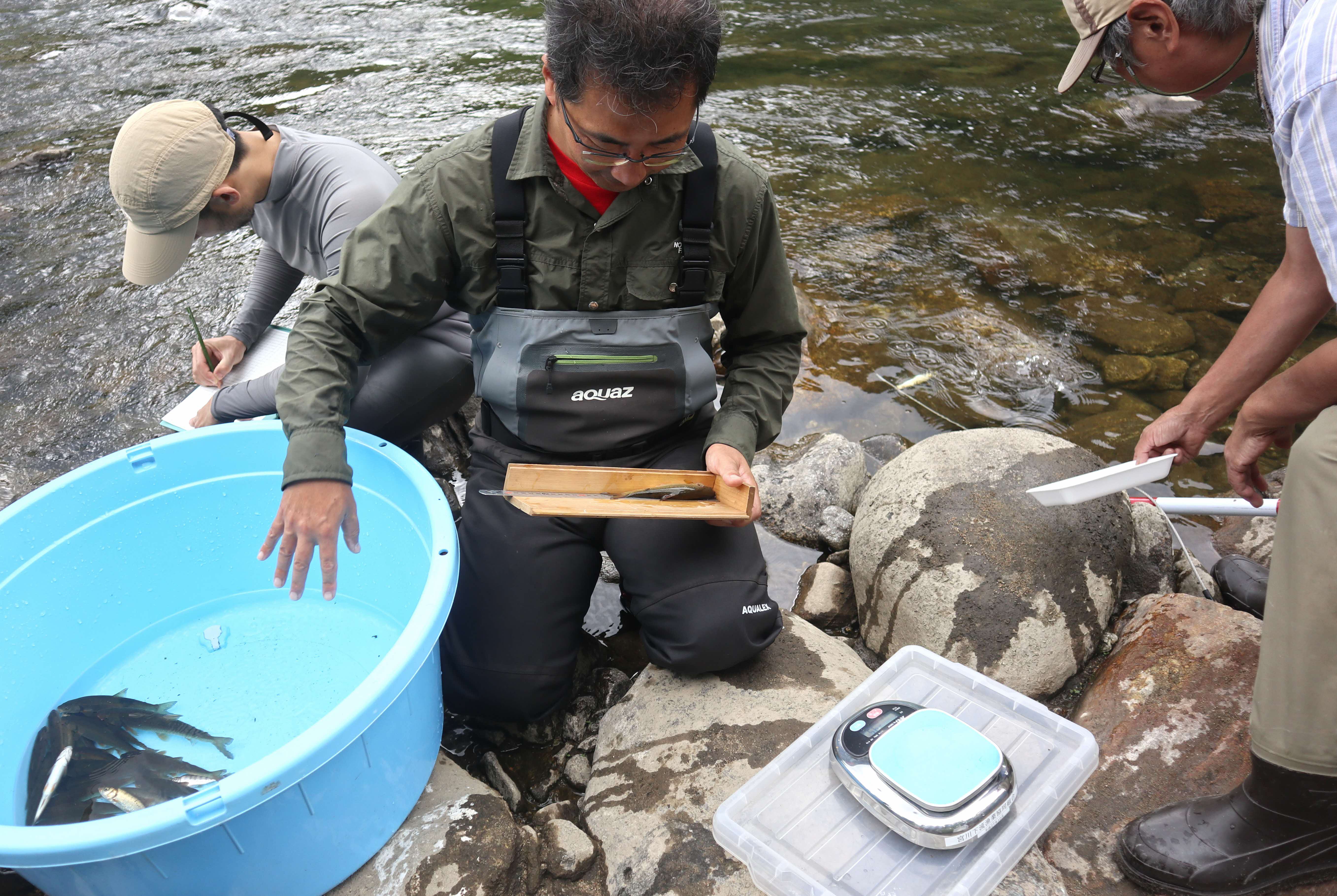 宮川下流漁協が「河川環境調査」を実施しました