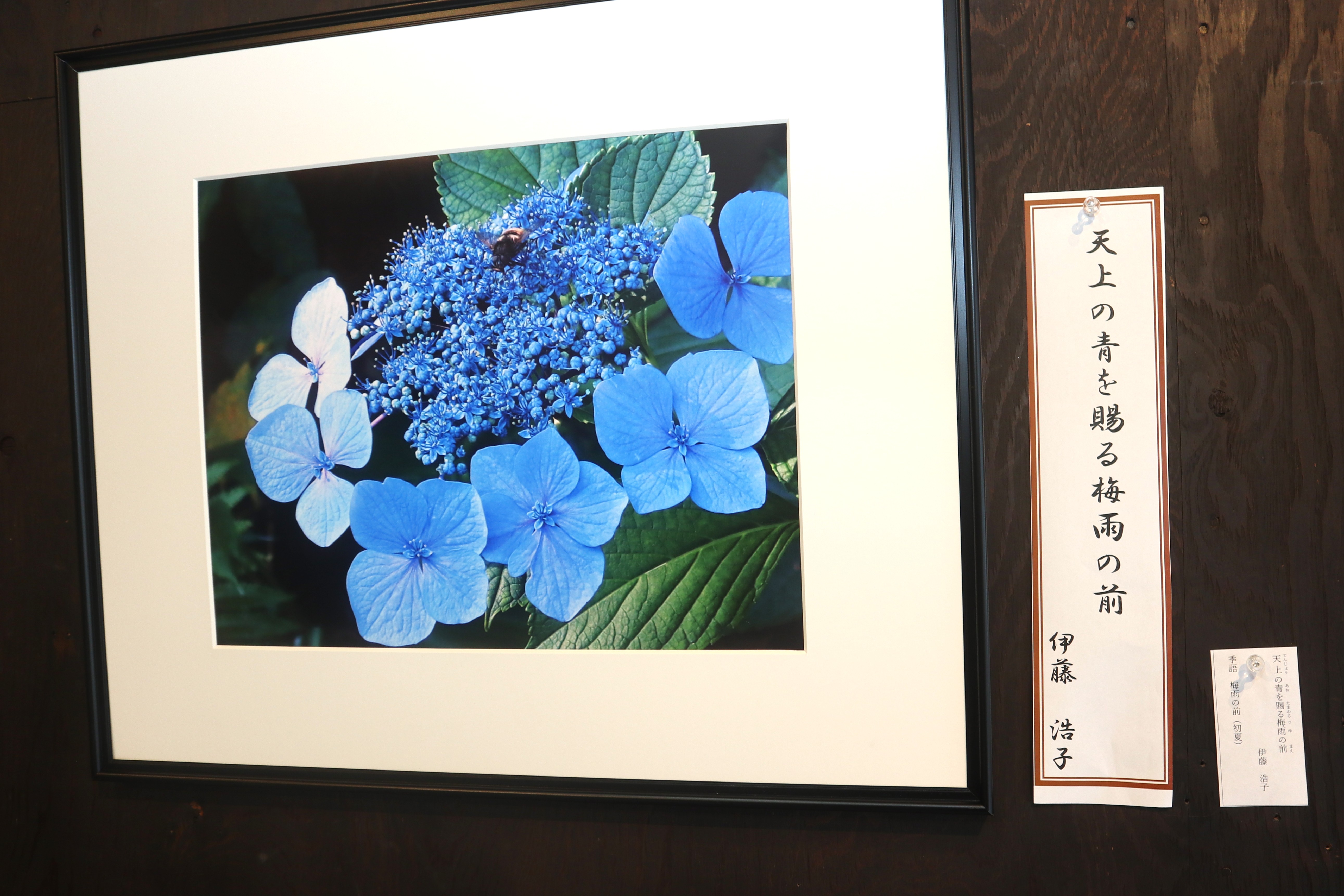 俳句写真１０