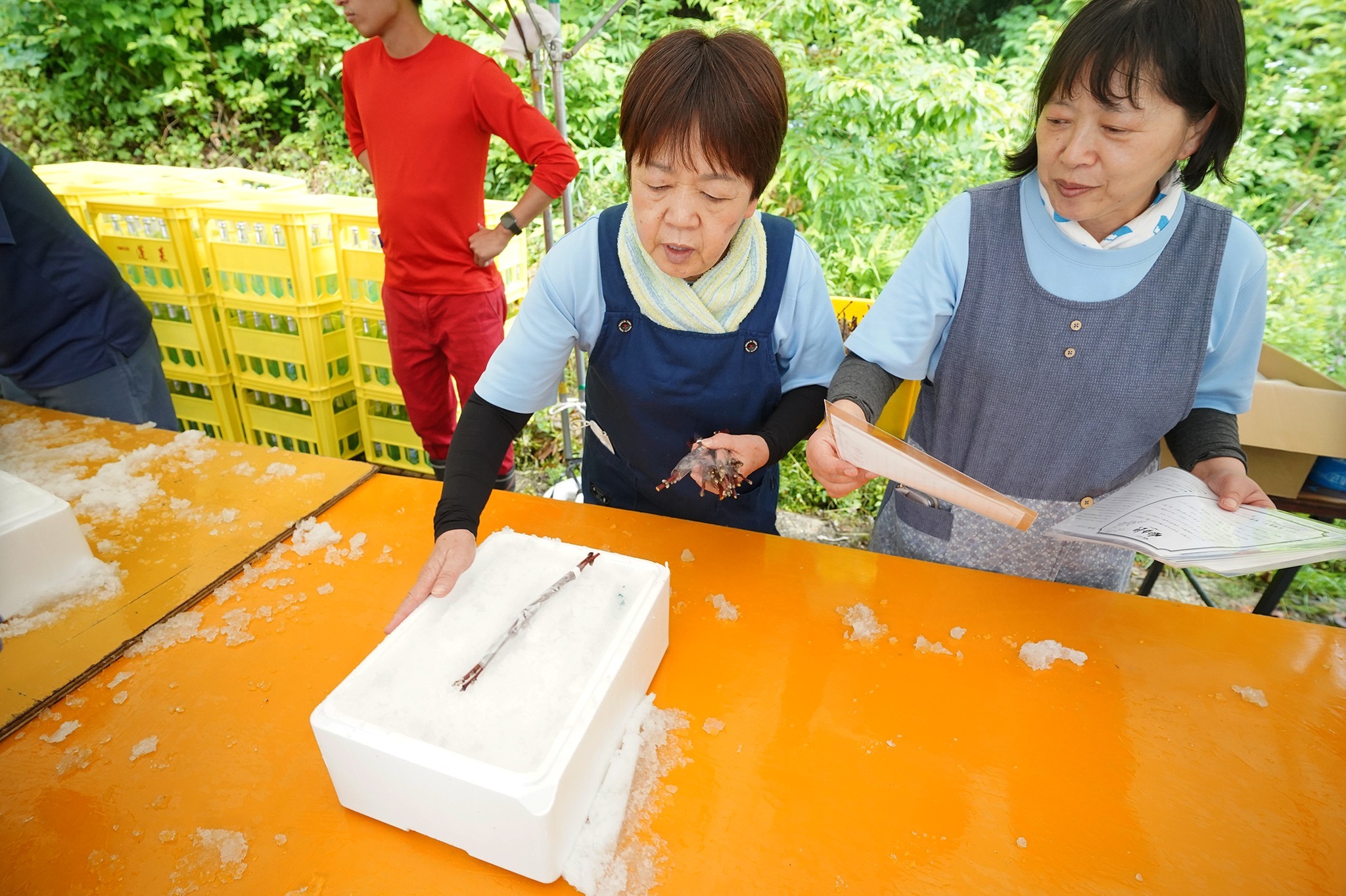 「飛騨かわい雪中酒」の蔵出しと出荷作業が行われました