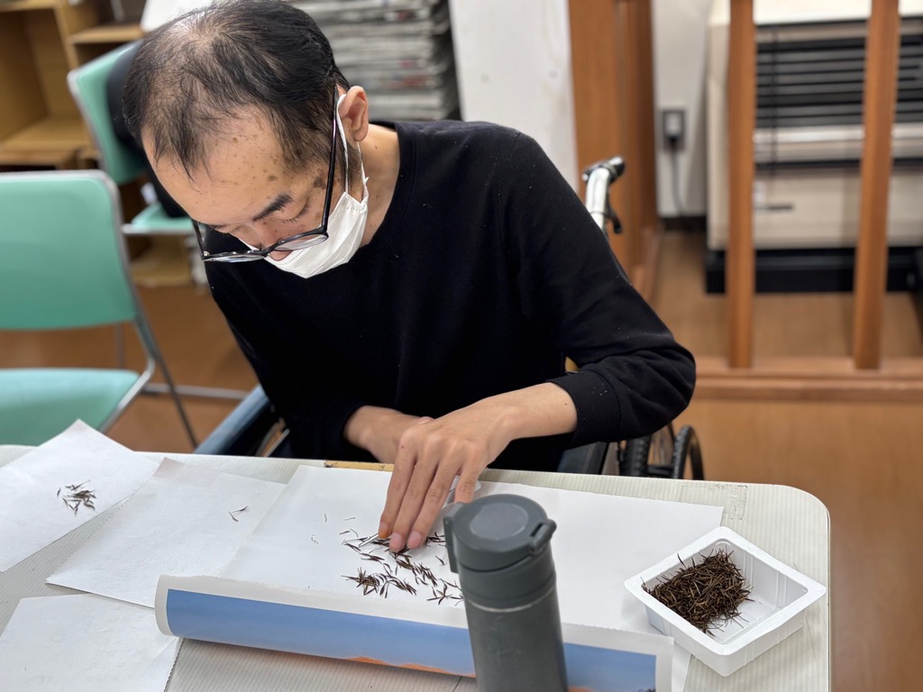 キバナコスモスの種を選別する様子