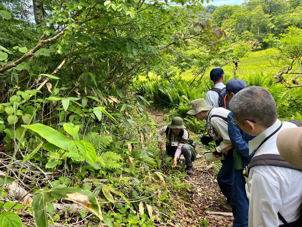 待ちに待った天生峠の通行止め解除。安全祈願祭が2年ぶりに開催されました