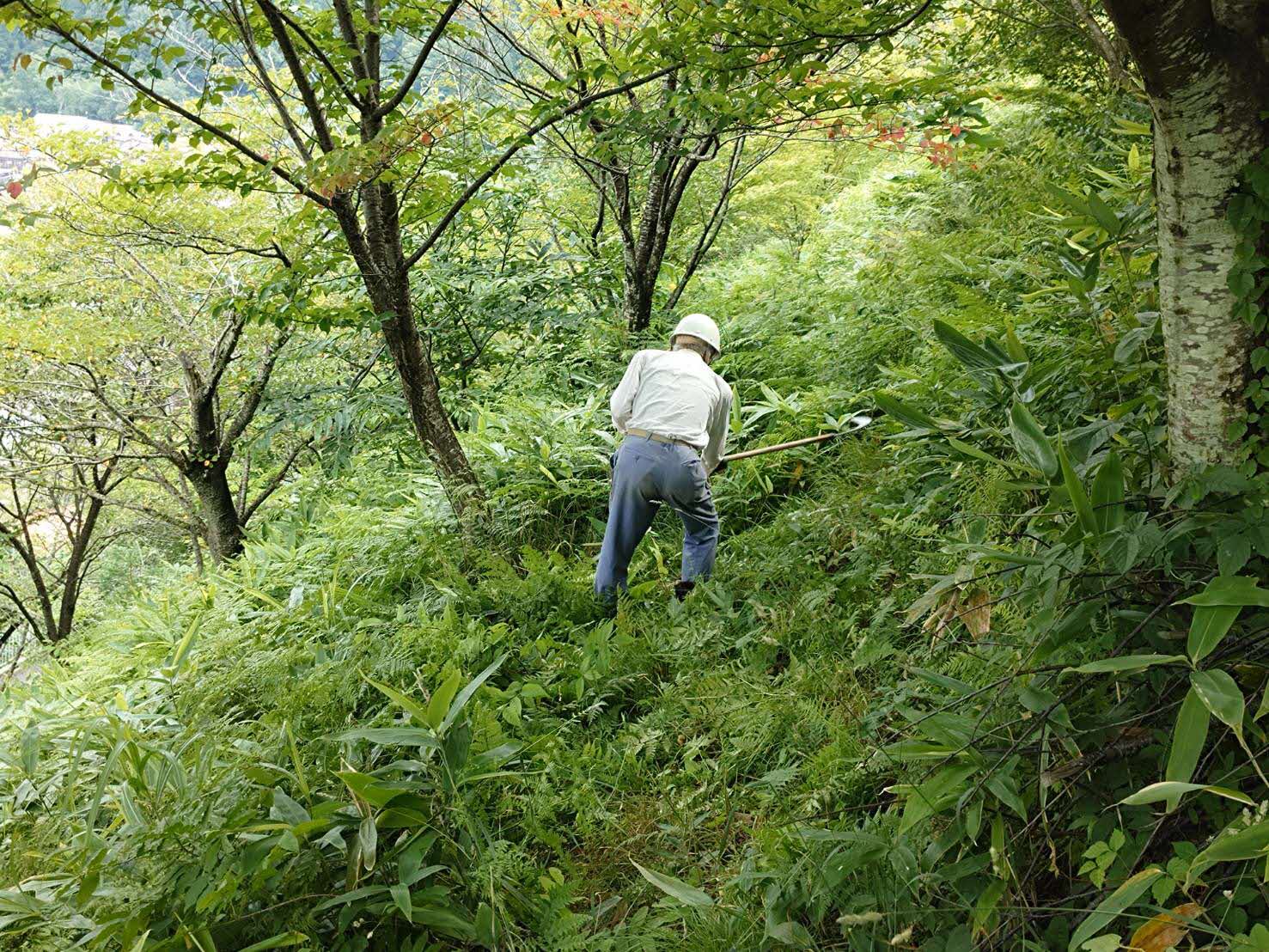 鎌３