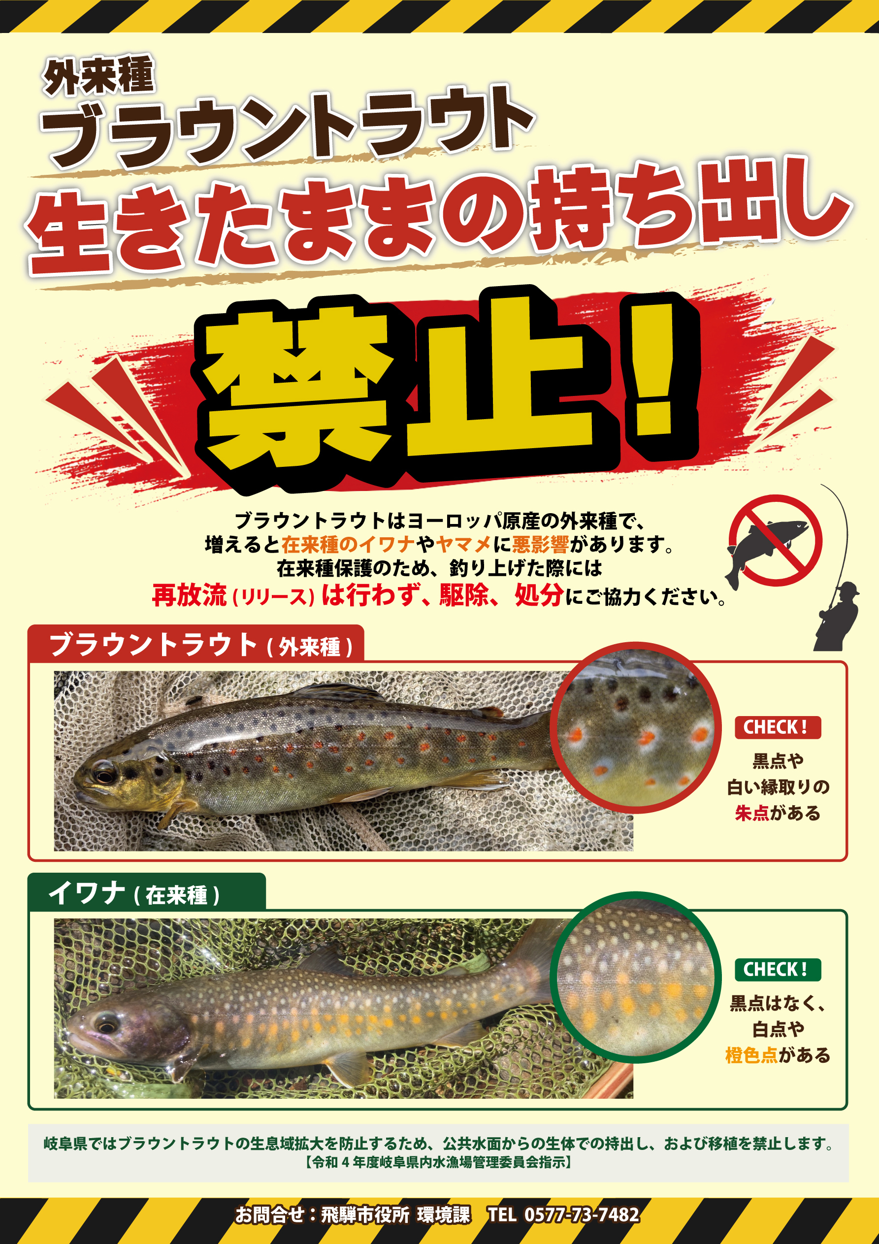 【外来種】ブラウントラウトについて