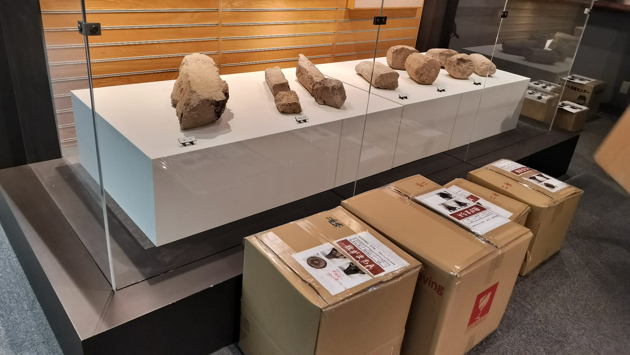 出展準備中の縄文土器2
