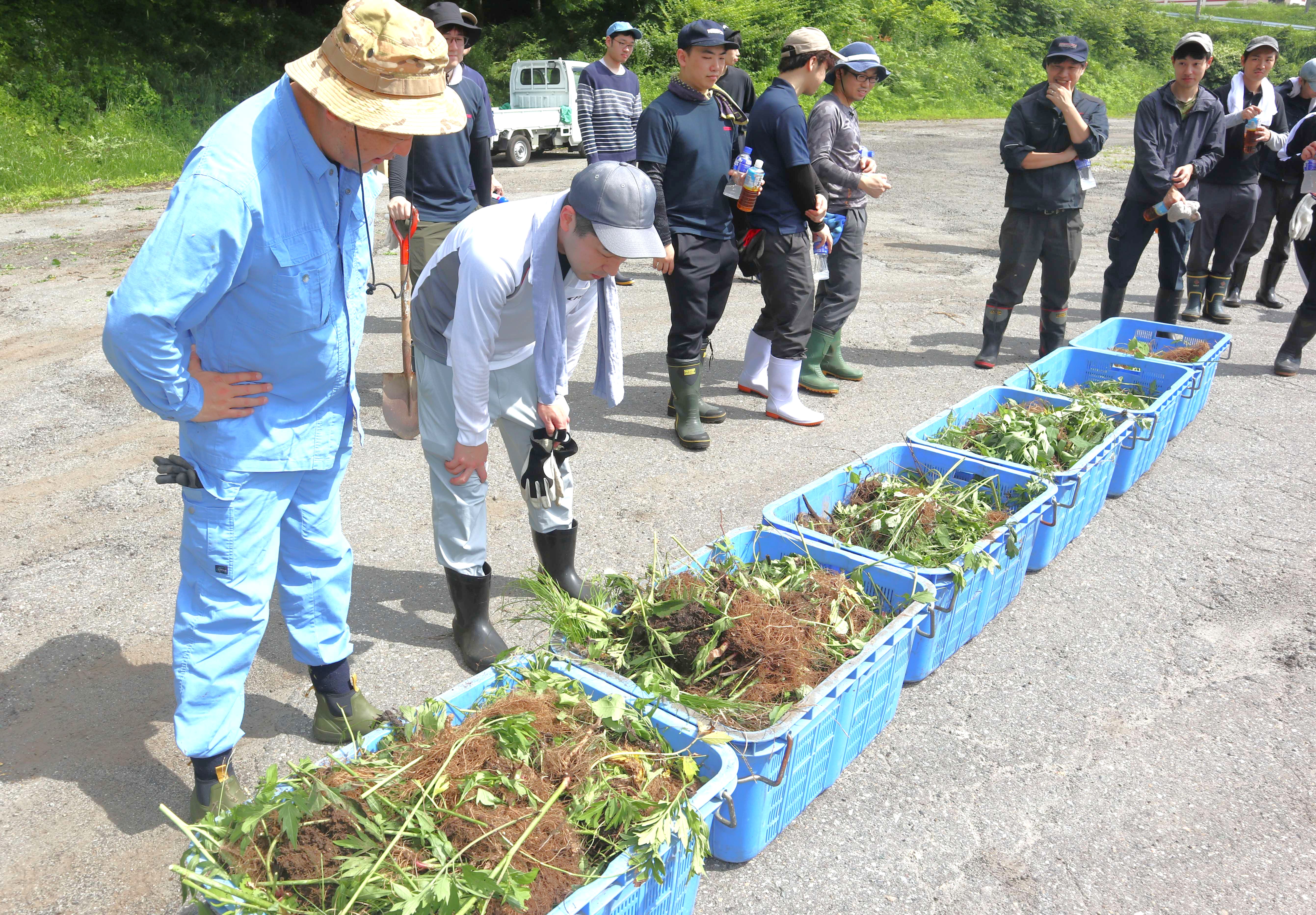 連合岐阜・飛騨地協が外来種オオハンゴンソウの防除作業を実施しました
