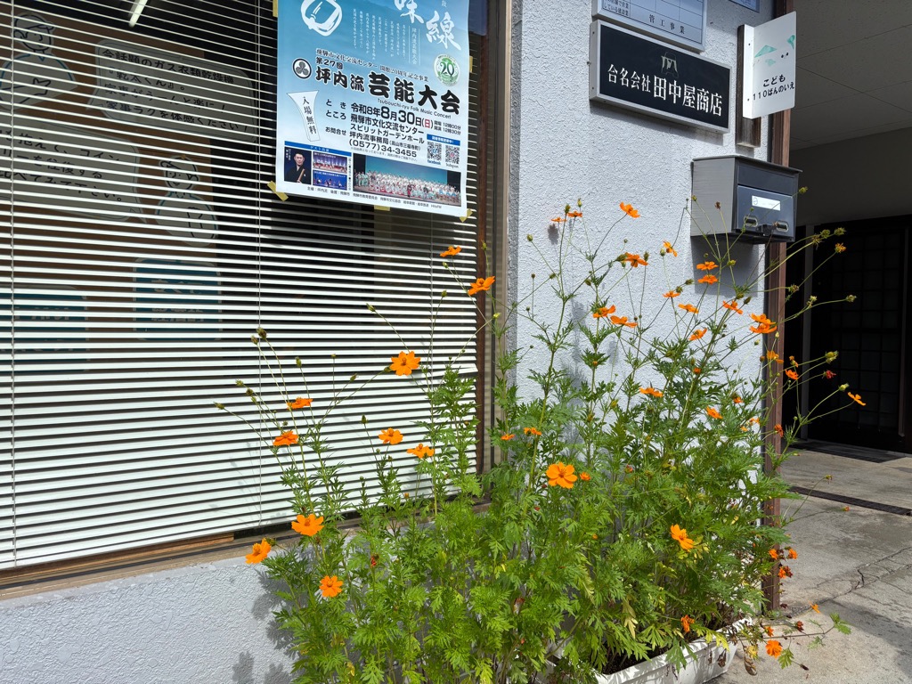 田中屋商店さんの写真
