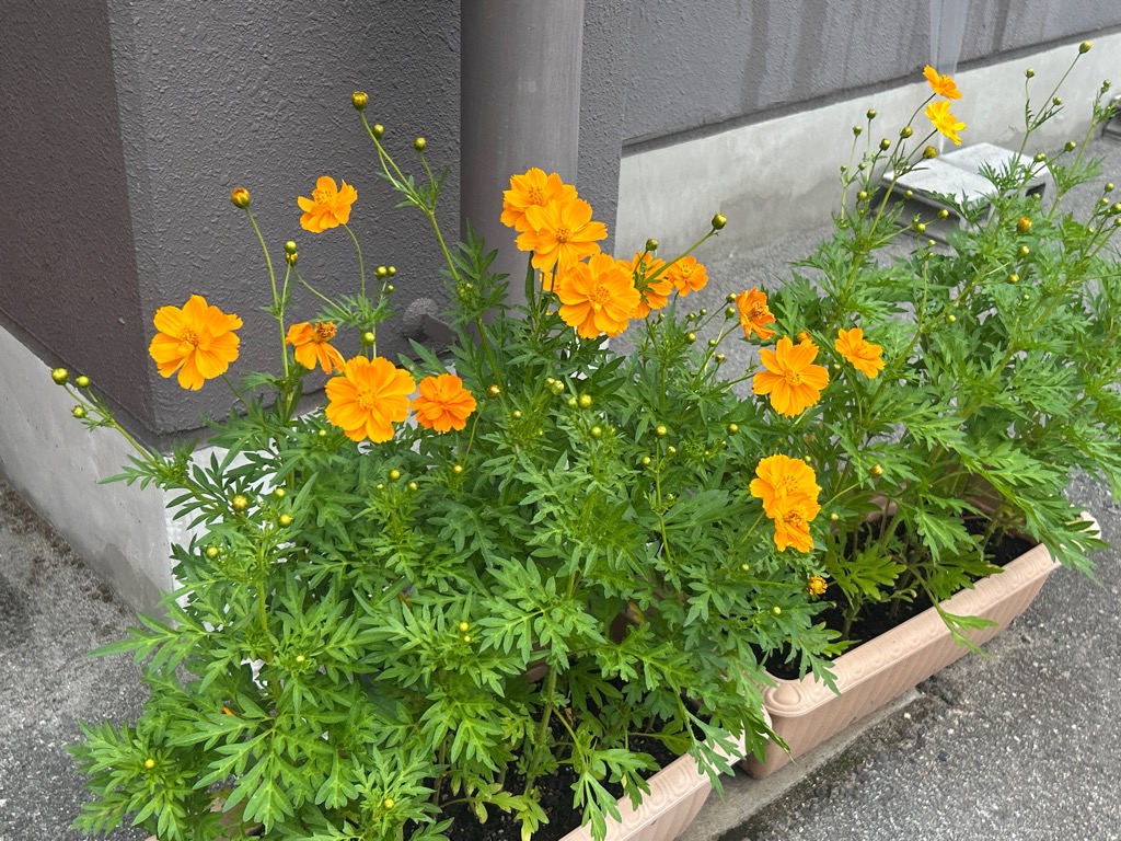 飛騨市地域包括支援センター神岡窓口の写真