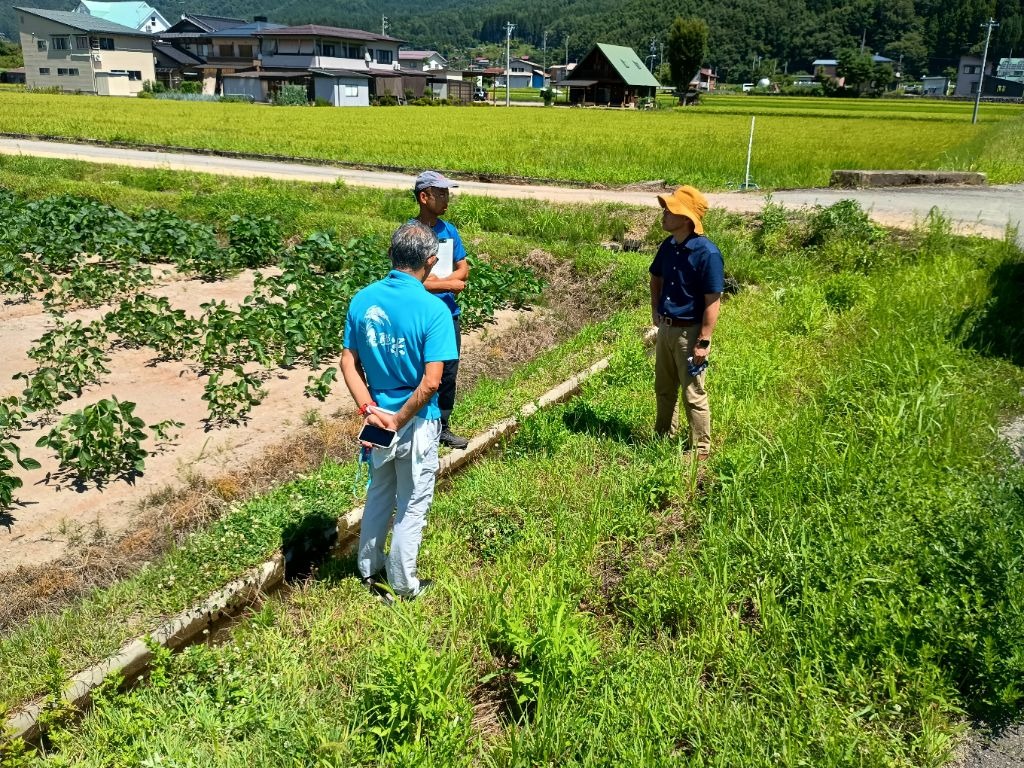 人手不足の時代をふまえた雑草対策について検討しました