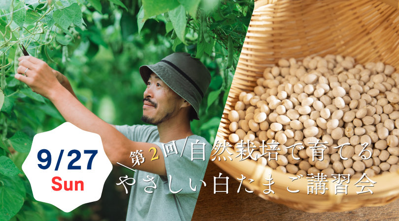 白たまご講習会 バナー