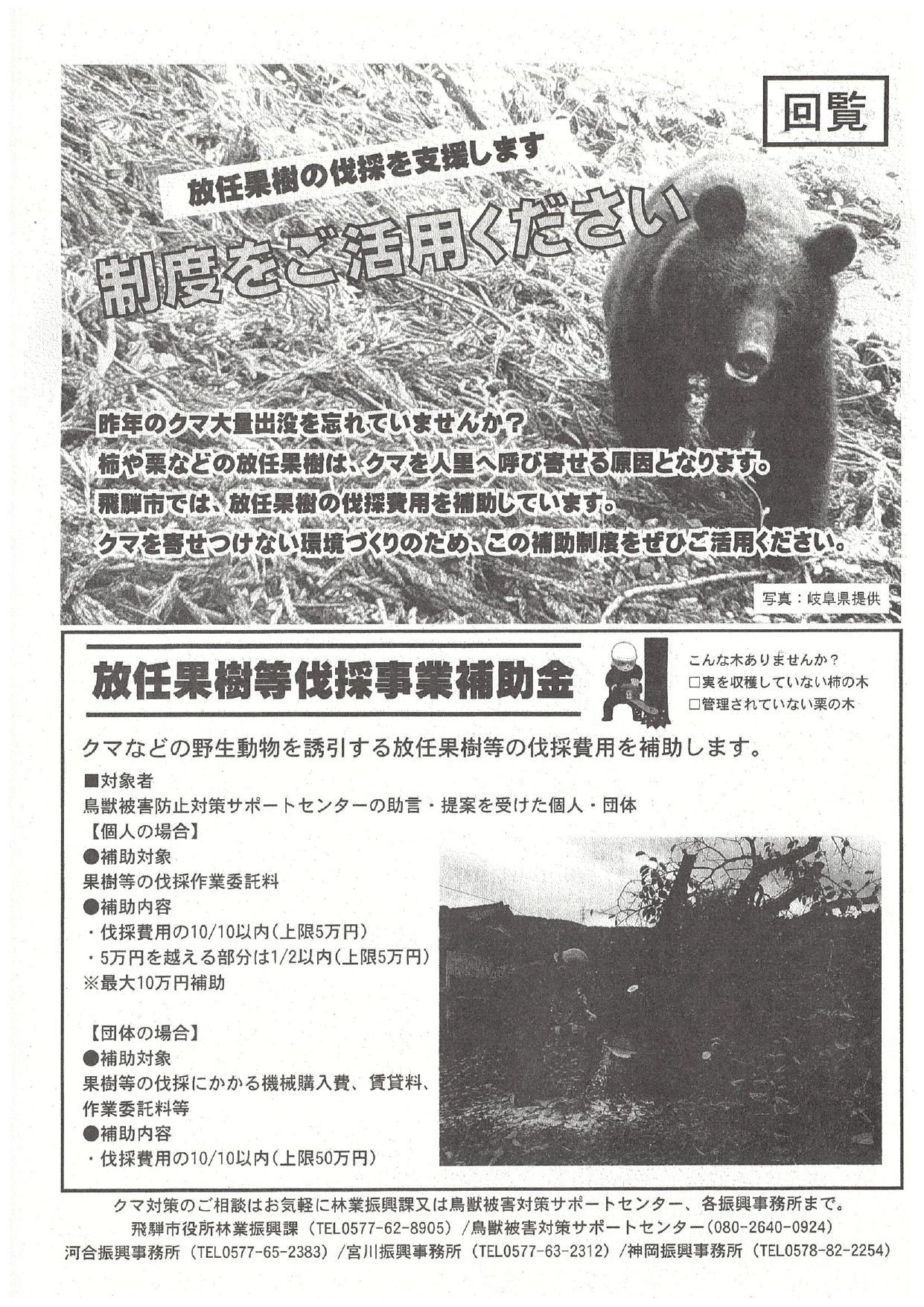07_放任果樹の伐採を支援します。制度をご活用ください​
