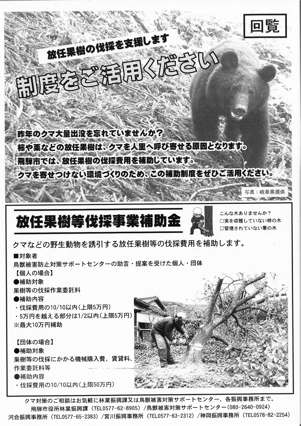 11_放任果樹の伐採を支援します　制度をご活用ください