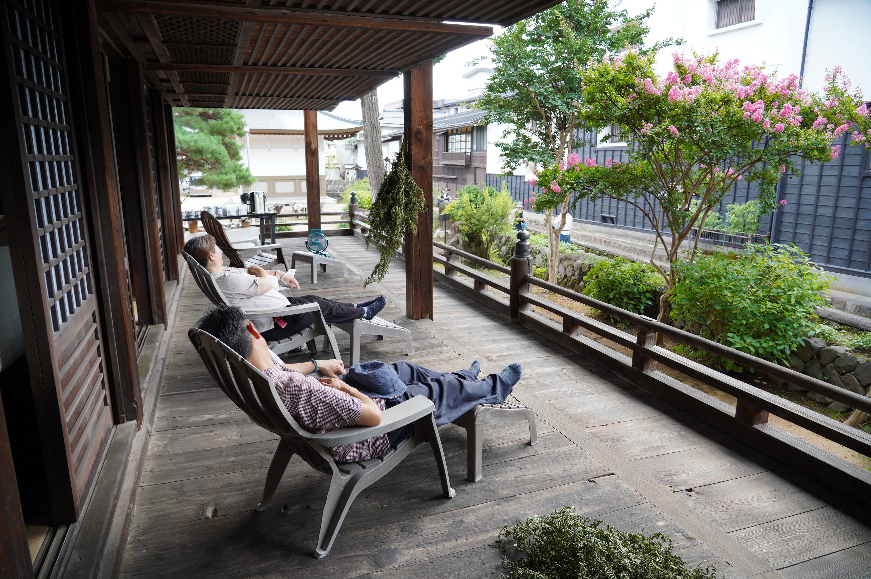 薬草フェス　円光寺