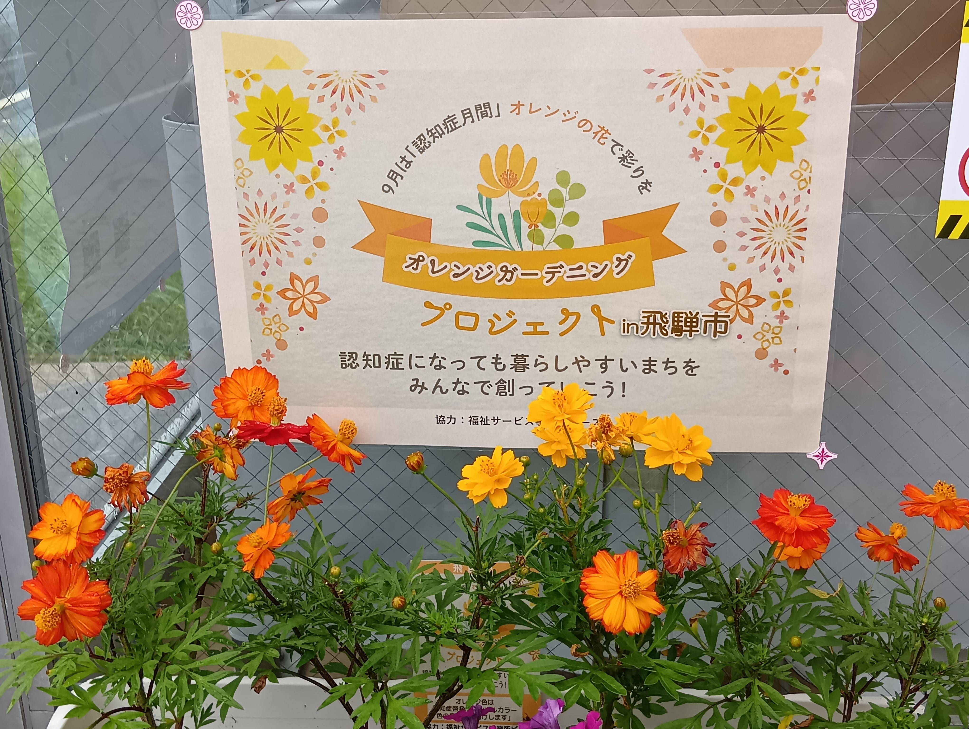 飛騨河合郵便局の花