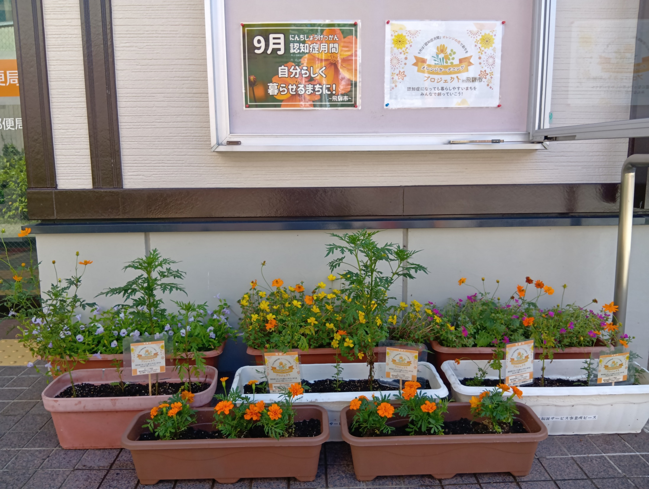 神岡船津郵便局の花