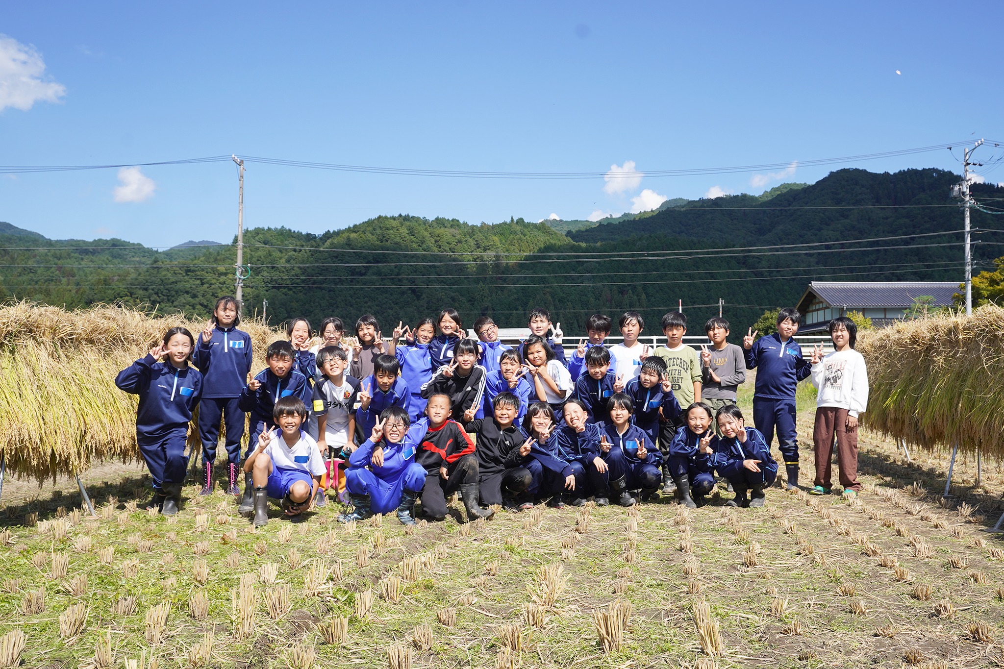 古川西小学校の5年生が稲刈り体験をしました