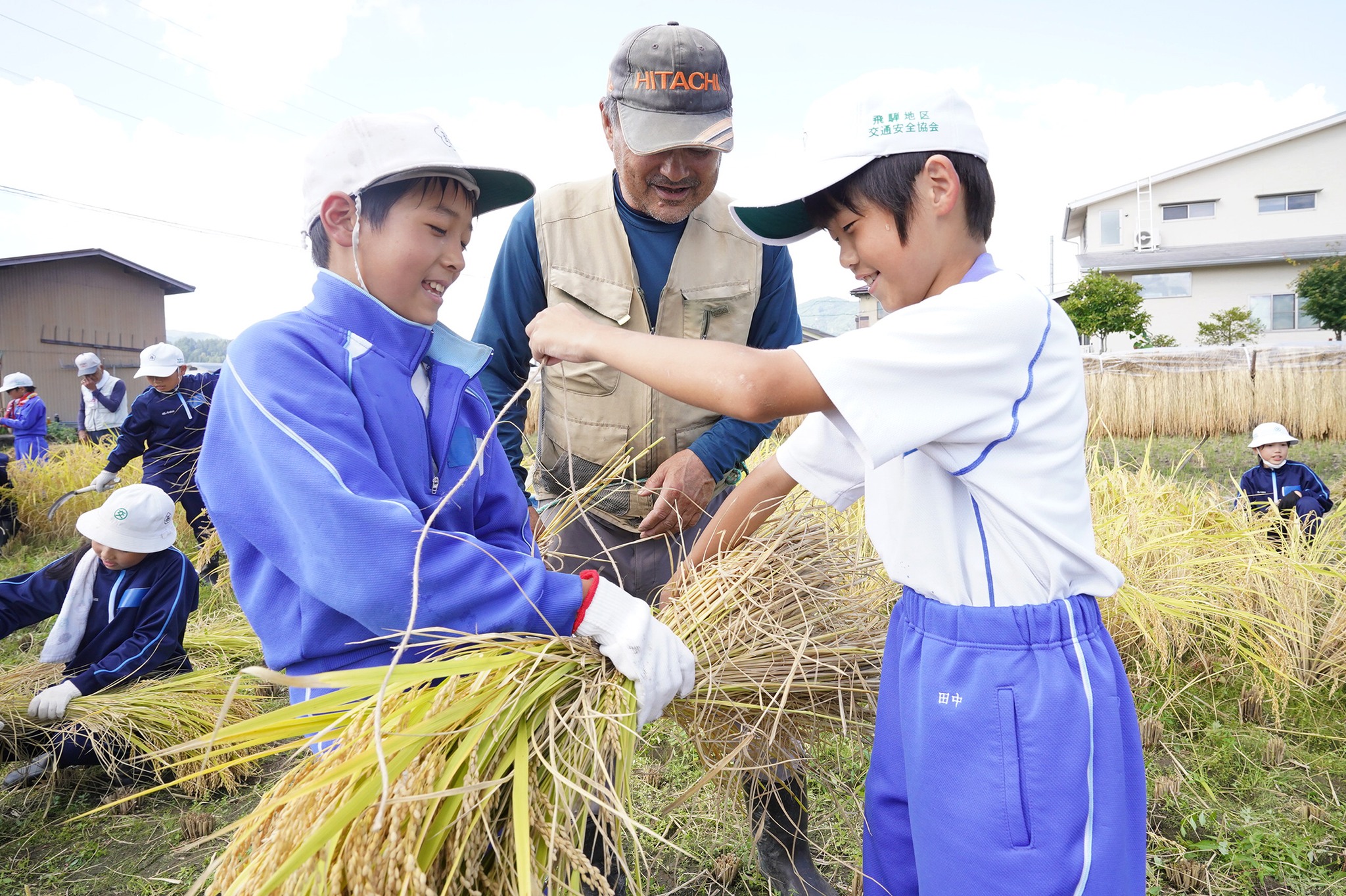 古川西小学校の5年生が稲刈り体験をしました
