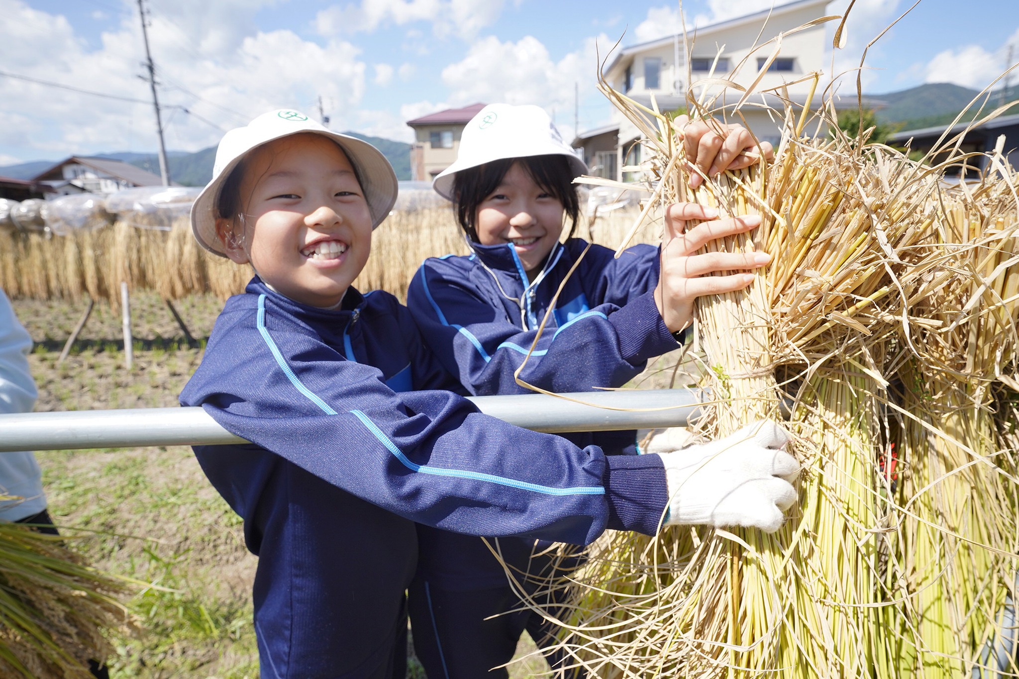 古川西小学校の5年生が稲刈り体験をしました