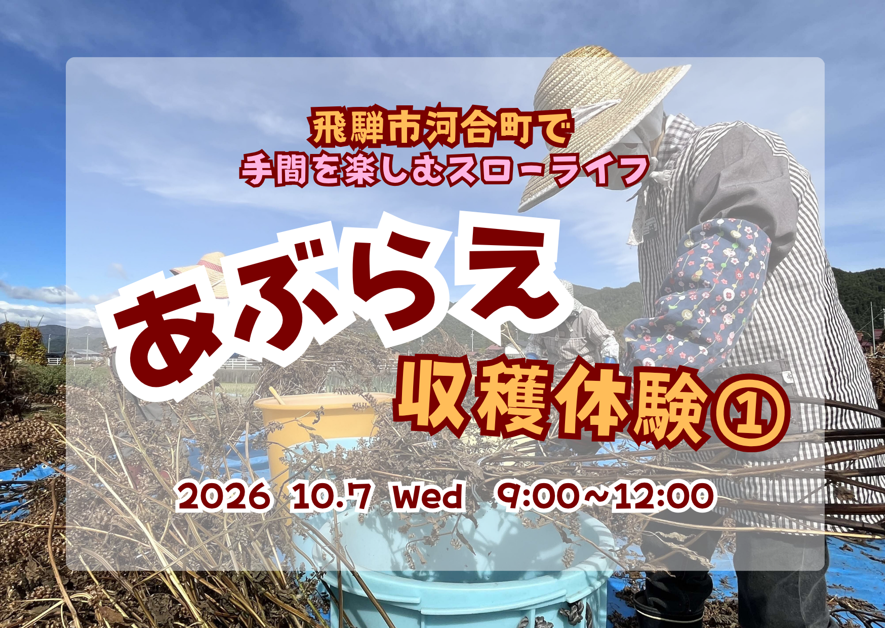 あぶらえ収穫体験in河合 バナー