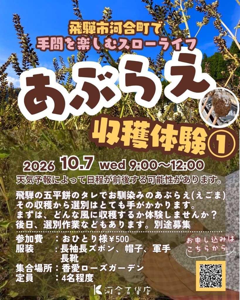 飛騨市河合町で手間を楽しむスローライフ あぶらえ収穫体験