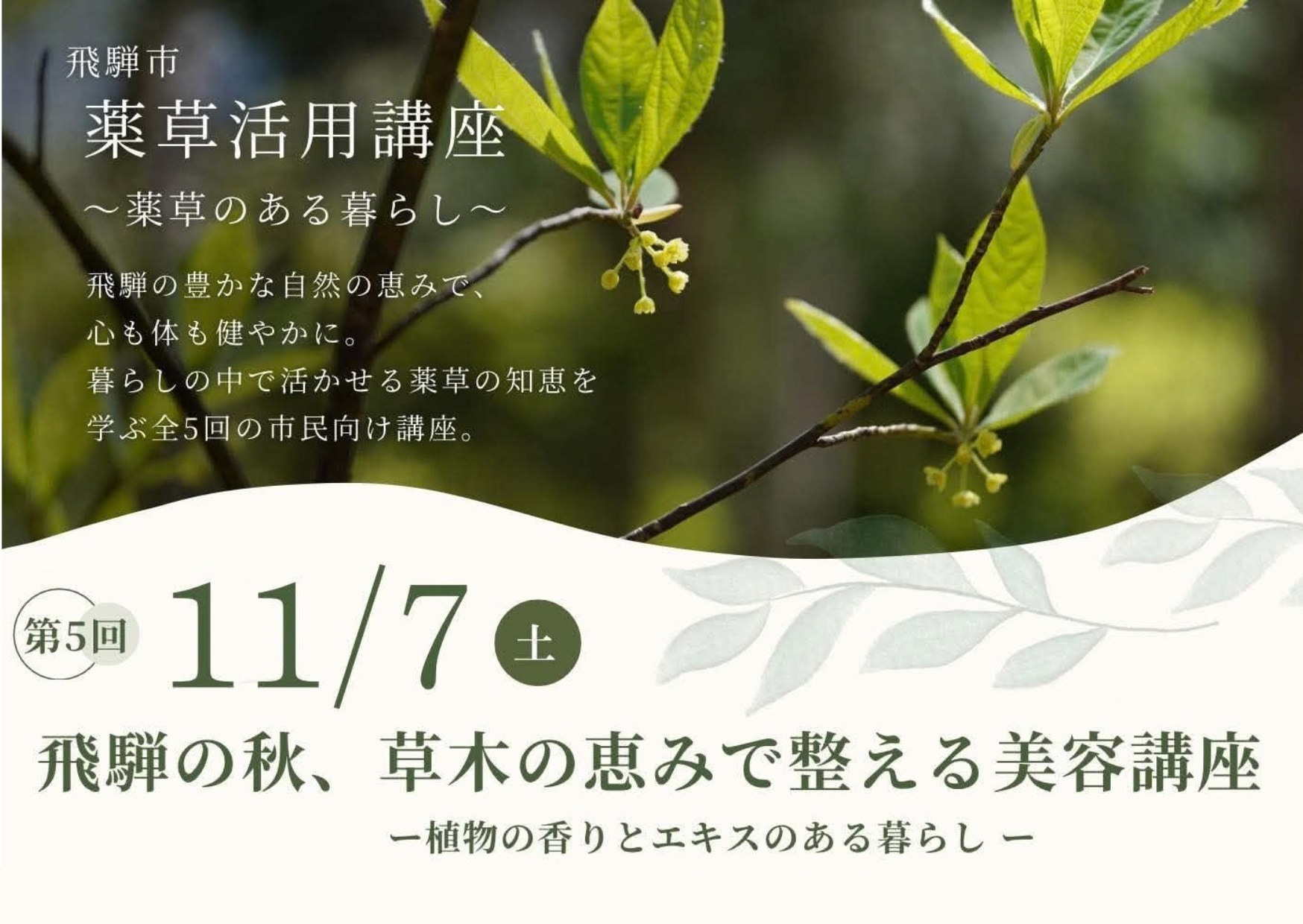 薬草活用講座 トップ画像