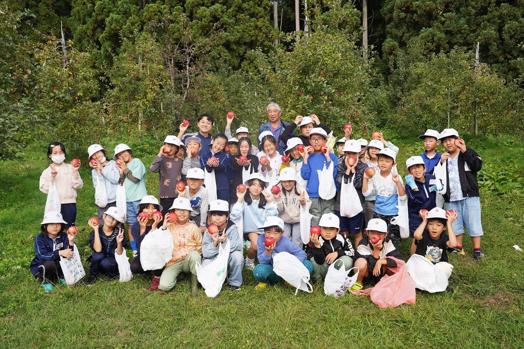 古川西小3年生がリンゴの収穫体験をしました