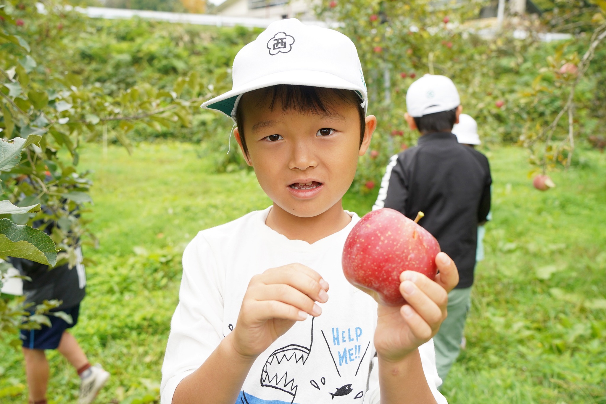古川西小3年生がリンゴの収穫体験をしました