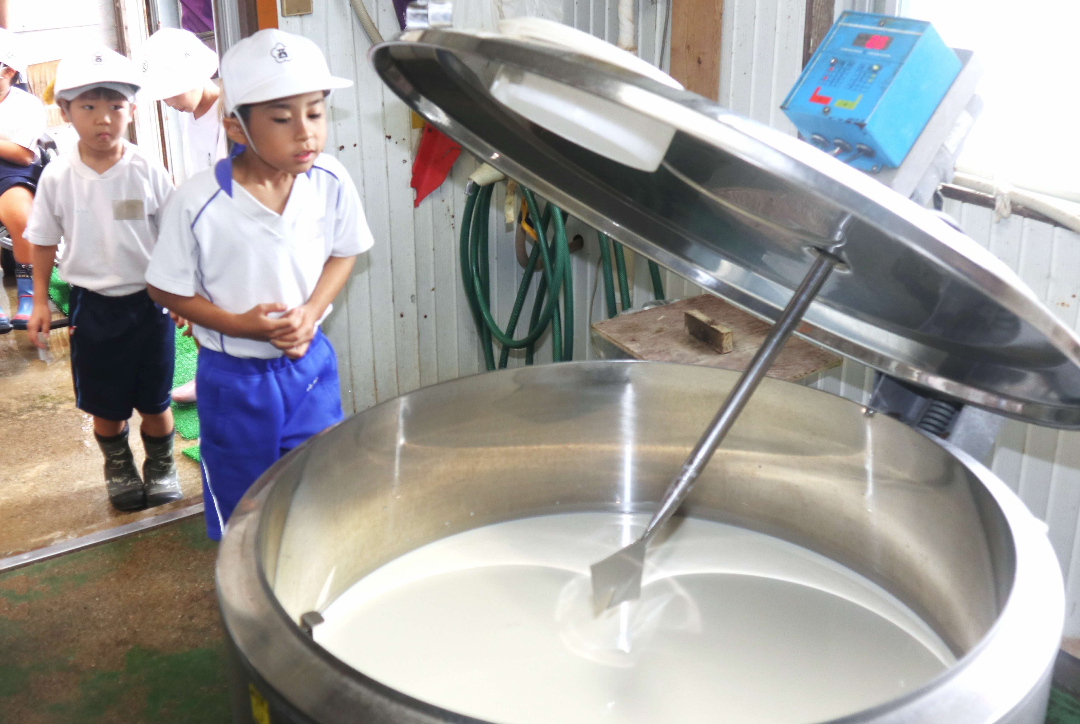 古川西小の児童らが牧場で牛の餌やりや乳製品づくりを体験しました