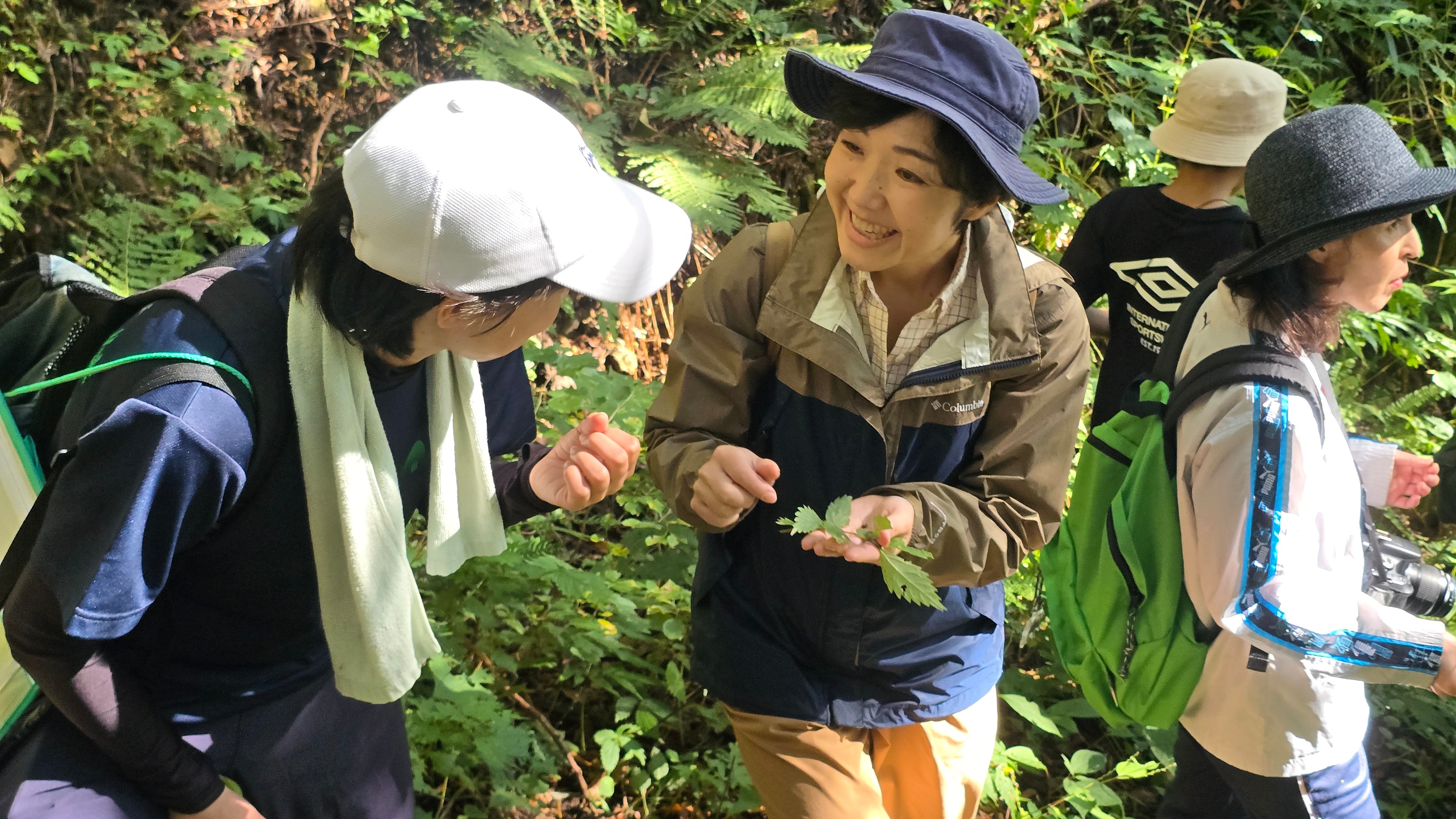 今年も開催!わくわく探検隊、里山探検で秋見つけ