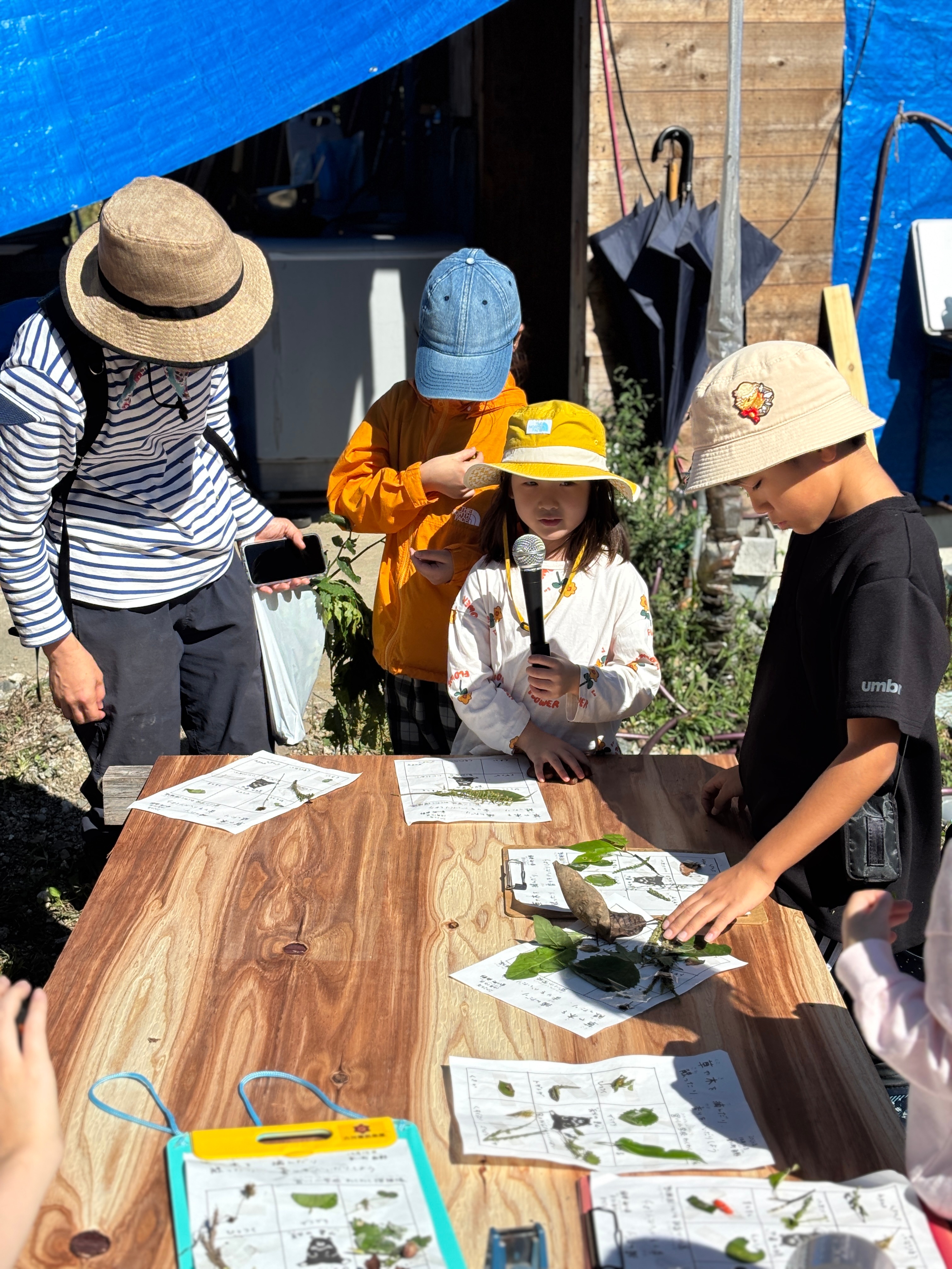 今年も開催!わくわく探検隊、里山探検で秋見つけ