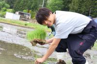 田植えの様子(1)