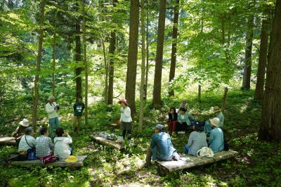 メイングラフィック5