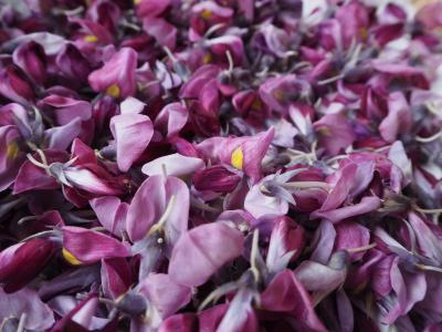 メイングラフィック6