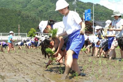 古西小学校　米作り