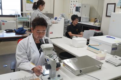 飛騨市家畜診療所の受精卵処理室が運営再開しました