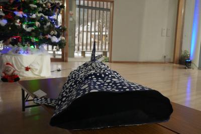 古川中学校、吉城高校、飛騨吉城特別支援学校の「三校合同美術展」が開催されました