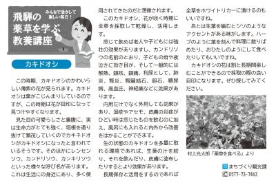 薬草を学ぶ教養講座