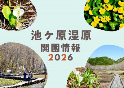 池ケ原湿原開園情報