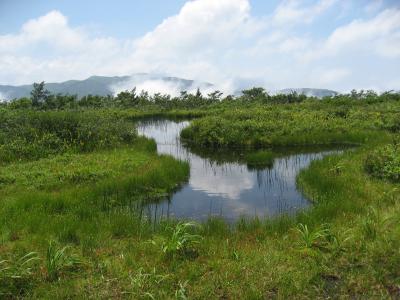 【市民掲示板】小白木峰登山～のんびり山歩き～
